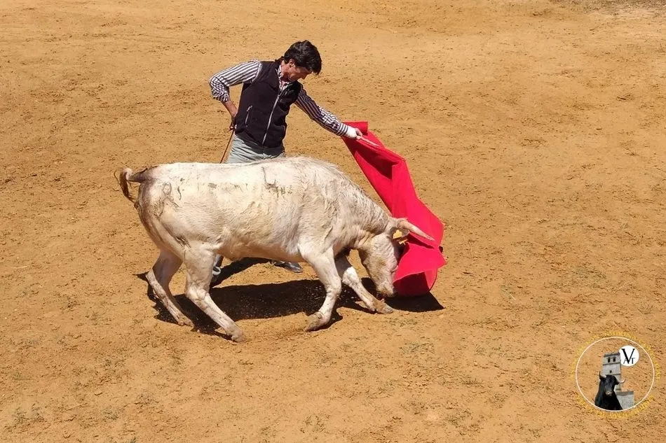 Foto 2 - La Asociaci&oacute;n Taurina Villa de Vitigudino disfruta del campo con las ganader&iacute;as de Valrubio y...