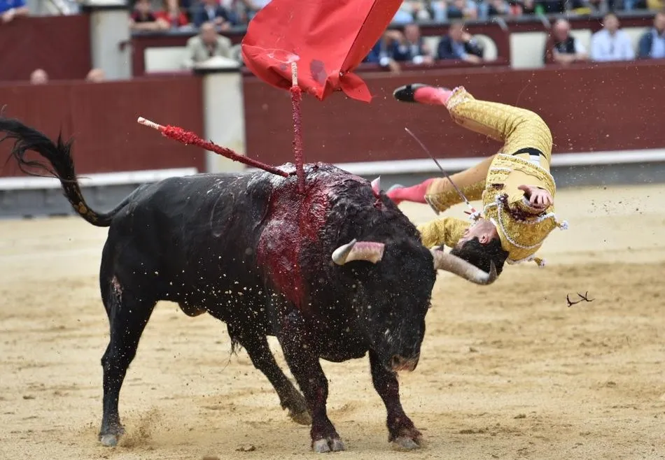 Foto 5 - El Pilar cumple en Madrid y Juan del &Aacute;lamo da una vuelta al ruedo