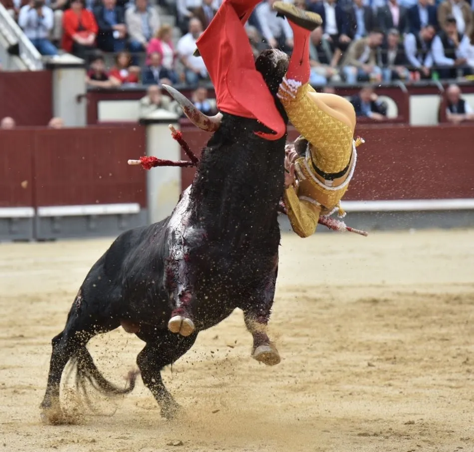 Foto 4 - El Pilar cumple en Madrid y Juan del &Aacute;lamo da una vuelta al ruedo