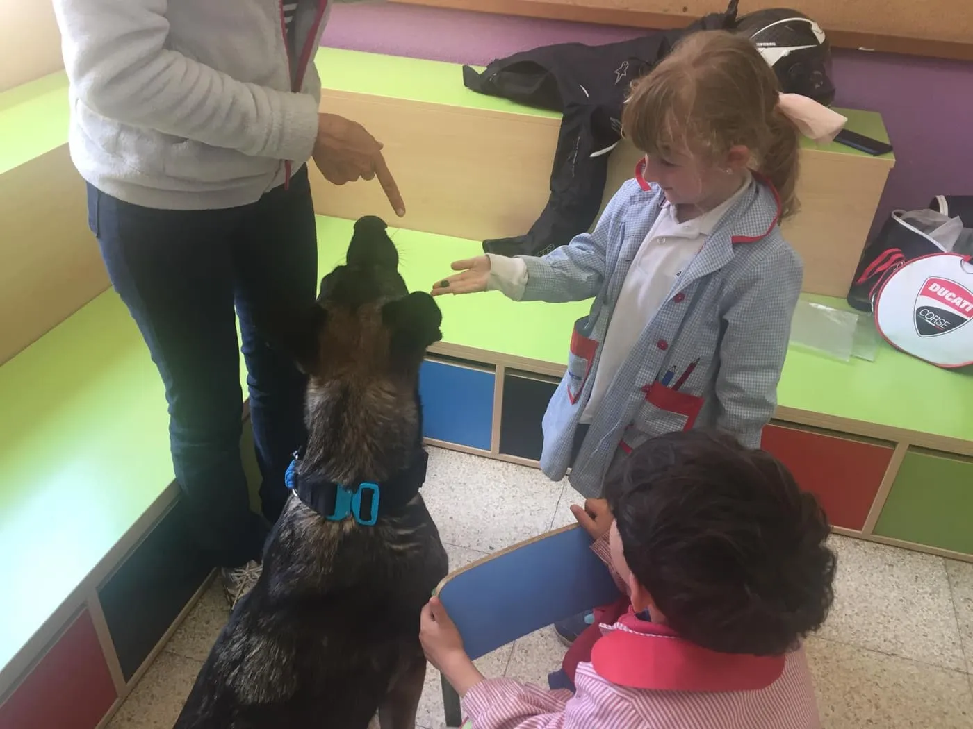 Foto 11 - Los alumnos de 2&ordm; de Infantil de Trinitarios aprenden a ser responsables con sus mascotas  
