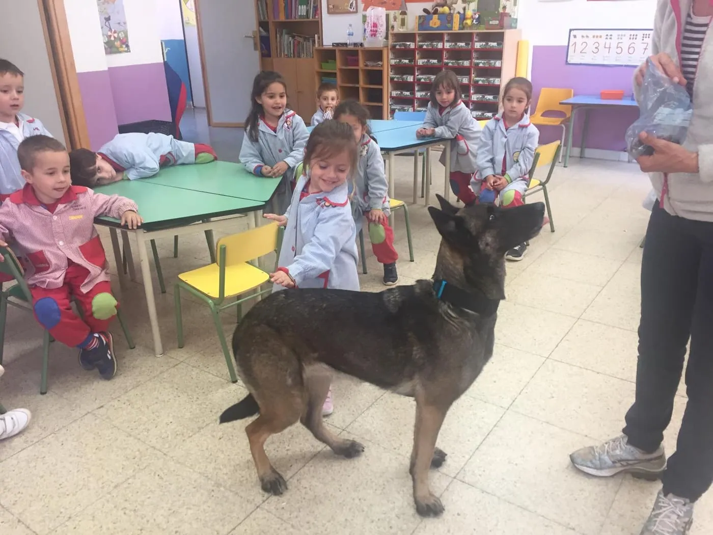 Foto 9 - Los alumnos de 2&ordm; de Infantil de Trinitarios aprenden a ser responsables con sus mascotas  