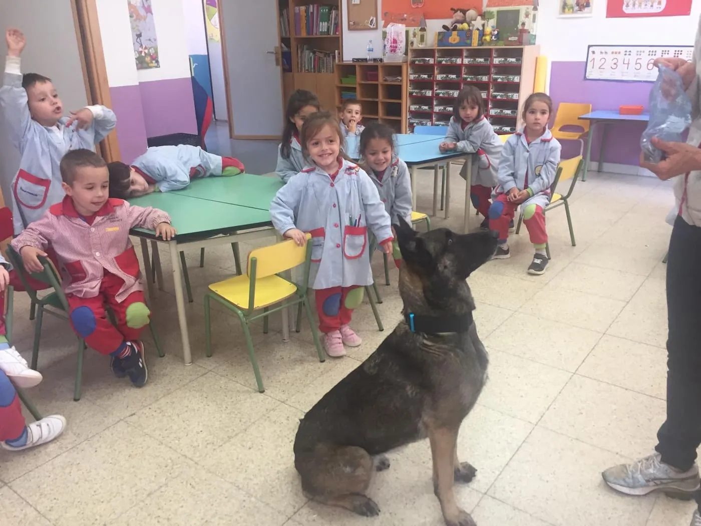 Foto 5 - Los alumnos de 2&ordm; de Infantil de Trinitarios aprenden a ser responsables con sus mascotas  