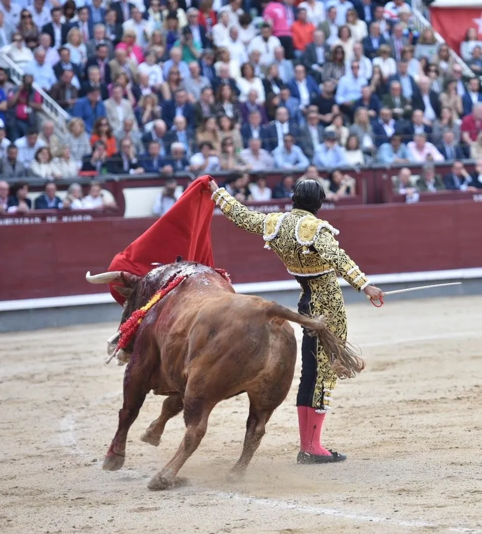 Foto 11 - Faena cumbre de Roca Rey y delirio en Las Ventas