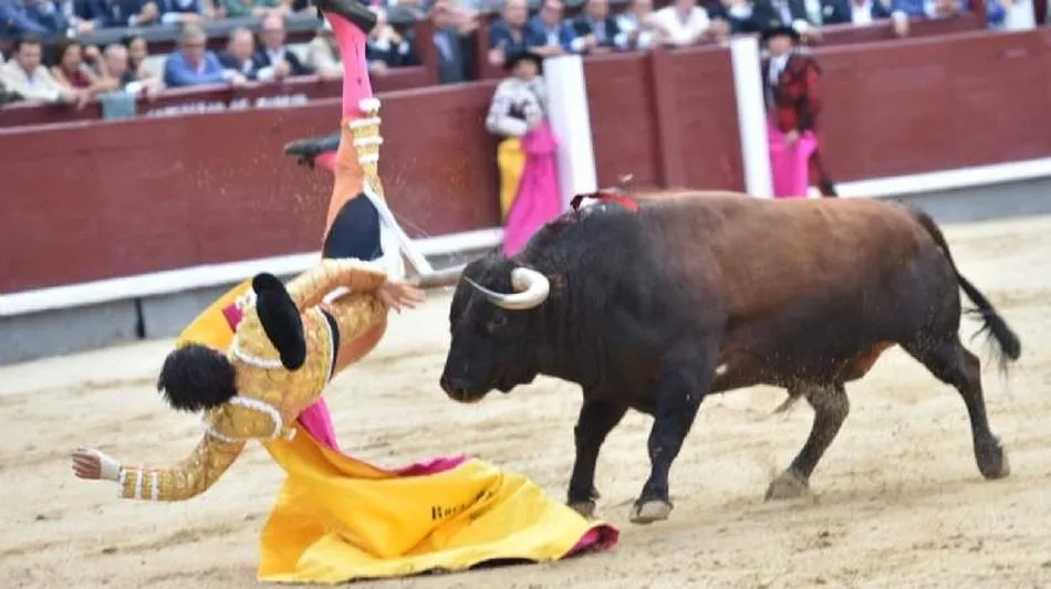 Foto 5 - Faena cumbre de Roca Rey y delirio en Las Ventas