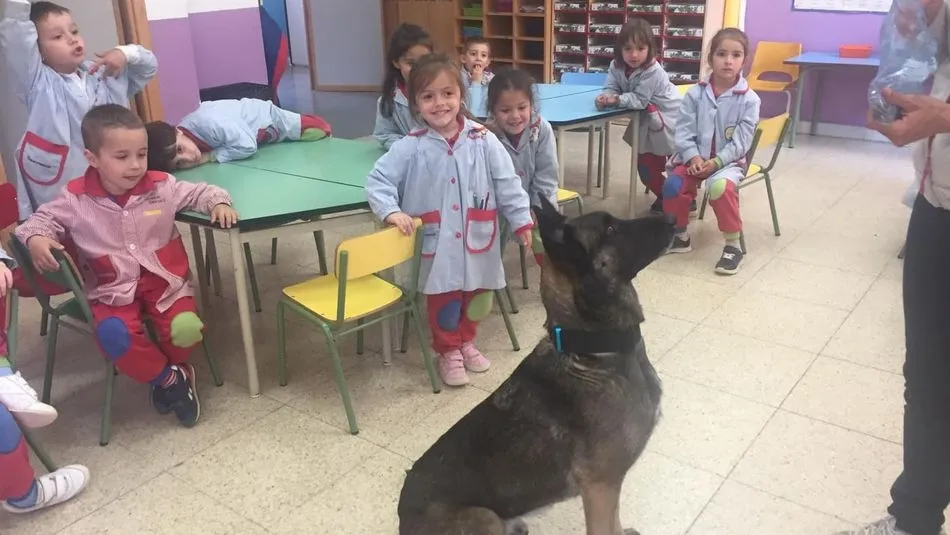 Los escolares recibieron la visita especial del cariñoso perro Sim