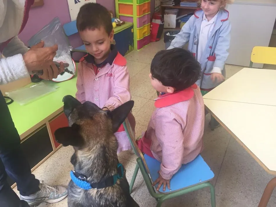 Foto 10 - Los alumnos de 2&ordm; de Infantil de Trinitarios aprenden a cuidar mascotas  