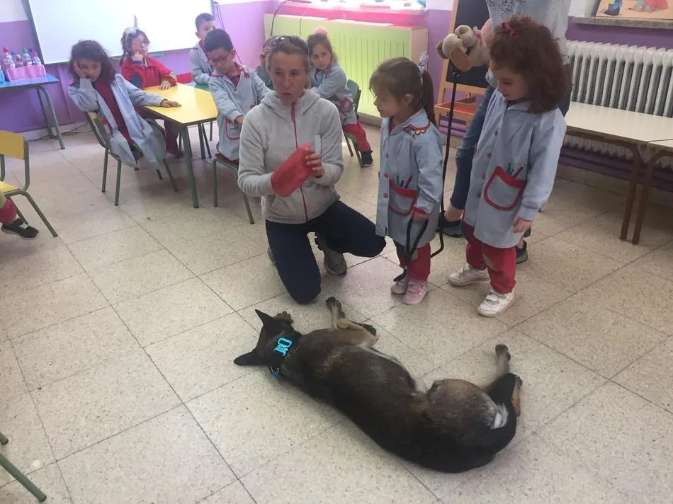 Foto 3 - Los alumnos de 2&ordm; de Infantil de Trinitarios aprenden a cuidar mascotas  