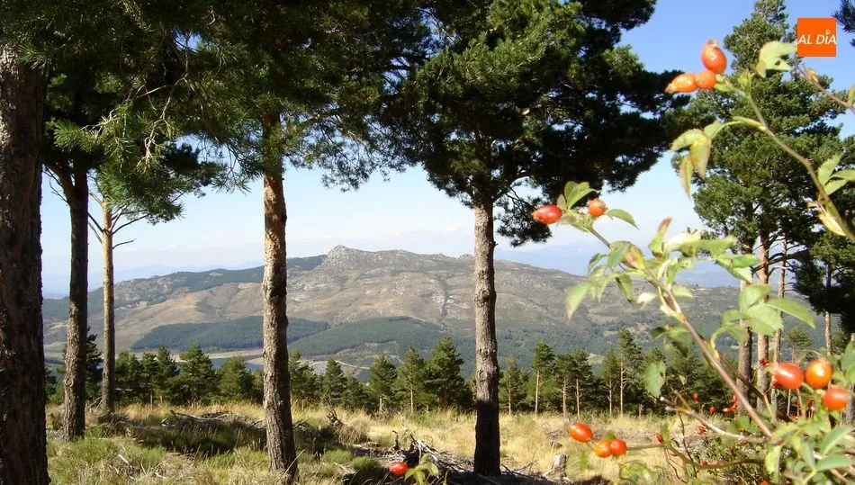 Montes en los alrededores de Béjar