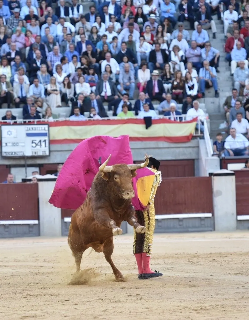 Foto 2 - Disposici&oacute;n de la terna ante una muy deslucida corrida de Jandilla