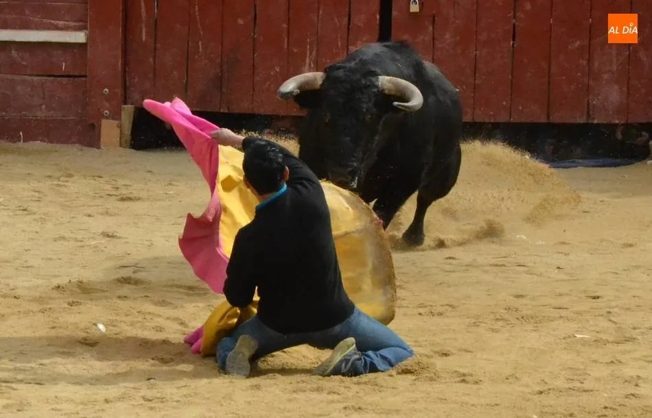 El Carnaval 2019 costó 339.869,98€ y generó 124.831,21€ en ingresos  