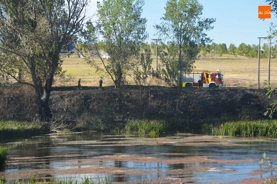 Foto 5 - Los Bomberos intervienen para sofocar un incendio de rastrojos en la pasarela de Huerta Otea y...