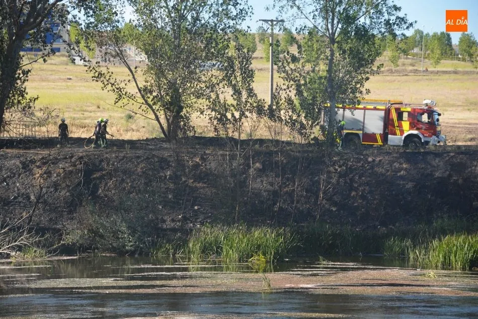 Foto 4 - Los Bomberos intervienen para sofocar un incendio de rastrojos en la pasarela de Huerta Otea y...
