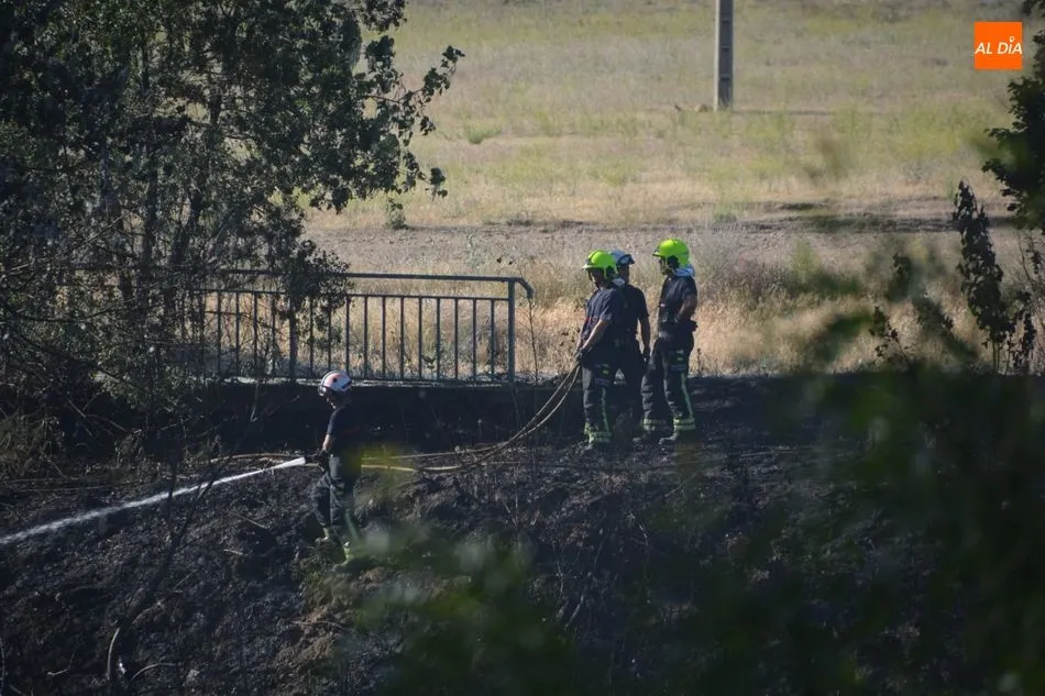 Foto 3 - Los Bomberos intervienen para sofocar un incendio de rastrojos en la pasarela de Huerta Otea y...