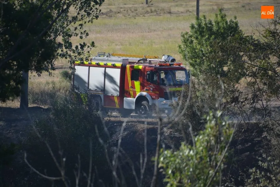 Foto 2 - Los Bomberos intervienen para sofocar un incendio de rastrojos en la pasarela de Huerta Otea y...