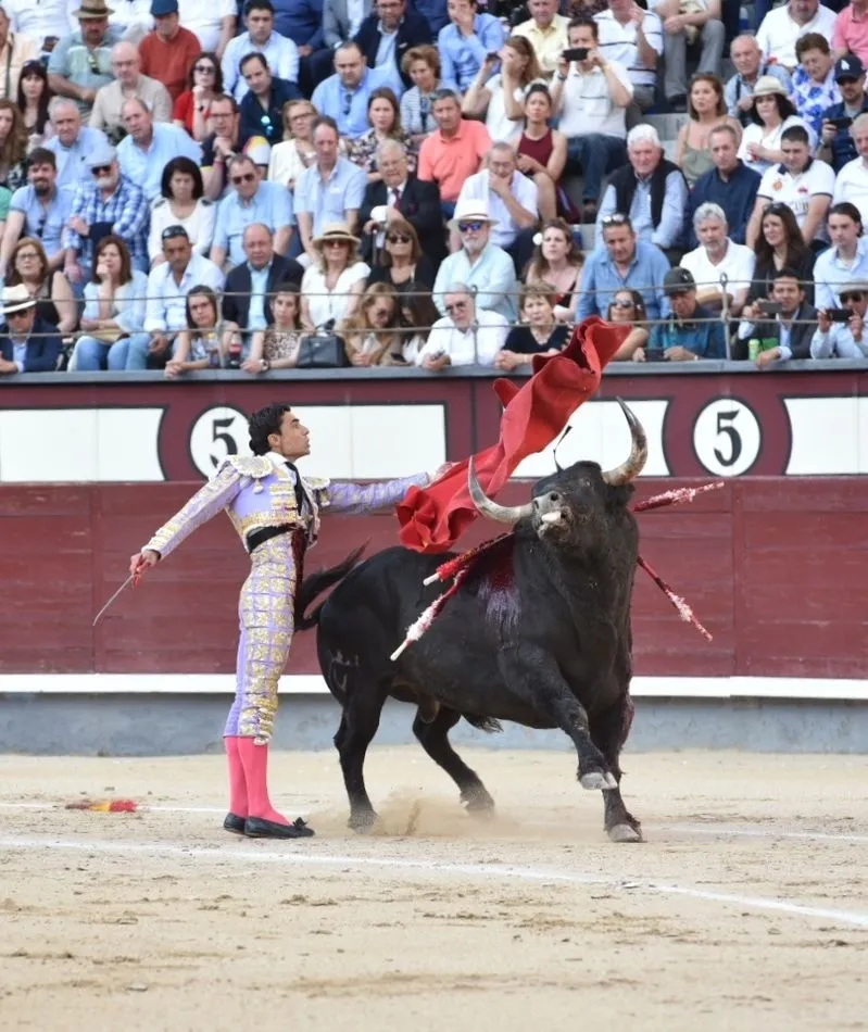 Foto 11 - David de Miranda toca la gloria de Las Ventas  