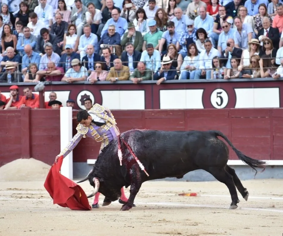 Foto 10 - David de Miranda toca la gloria de Las Ventas  