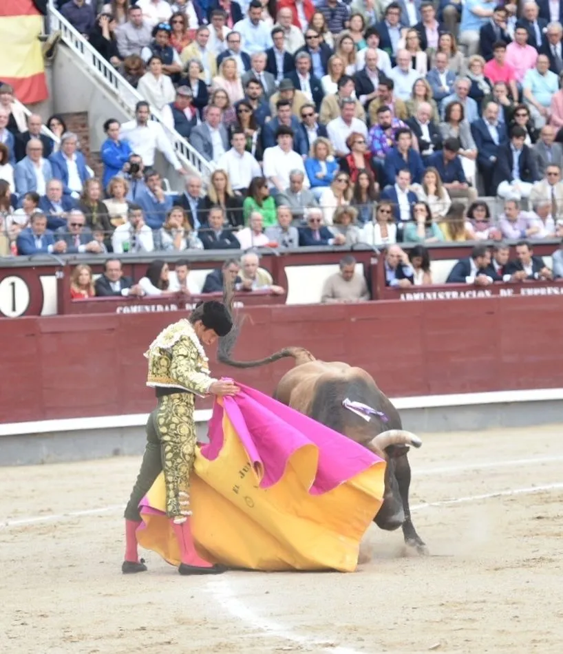 Foto 8 - David de Miranda toca la gloria de Las Ventas  