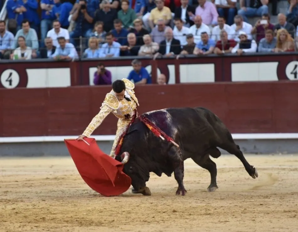 Foto 5 - David de Miranda toca la gloria de Las Ventas  
