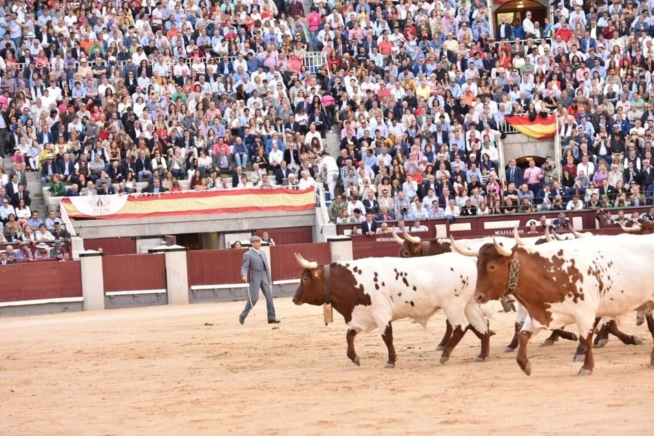 Foto 4 - David de Miranda toca la gloria de Las Ventas  