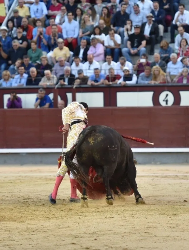 Foto 3 - David de Miranda toca la gloria de Las Ventas  