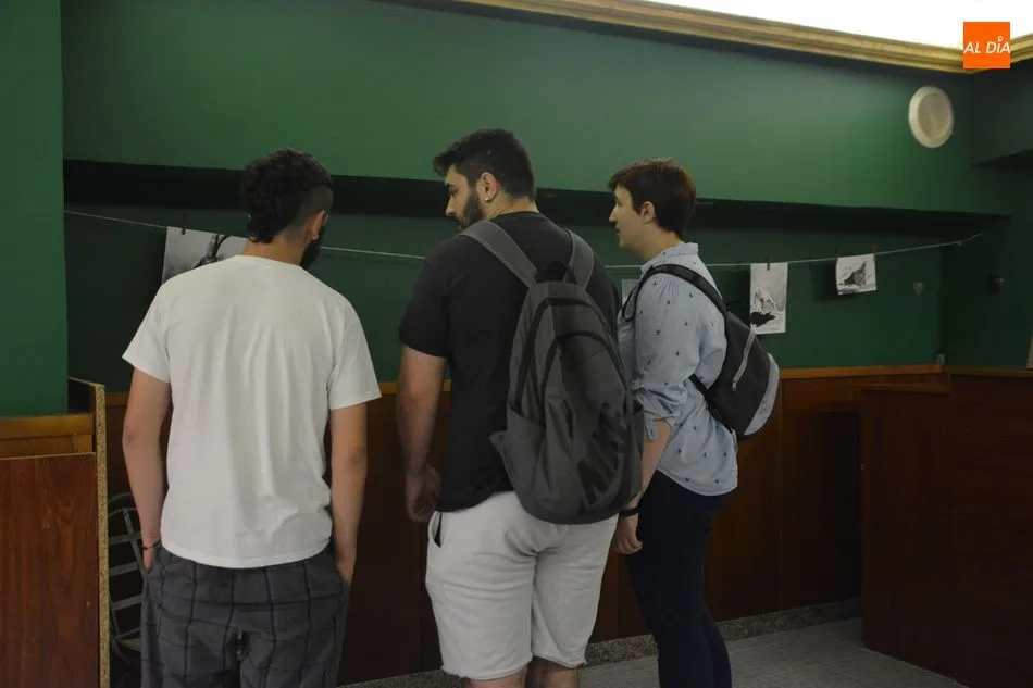 Foto 4 - La Asociaci&oacute;n Santuario PeludoSOS inaugura su exposici&oacute;n de pintura solidaria  