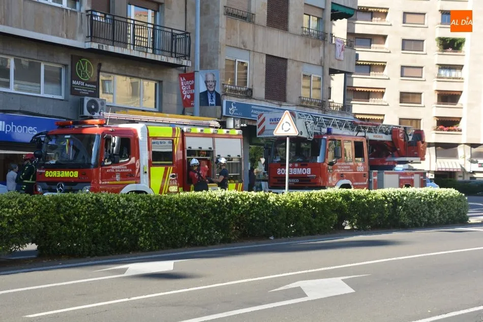 Foto 4 - Doble actuaci&oacute;n de los Bomberos por incendios en la avenida de Portugal y el paseo de Carmelitas