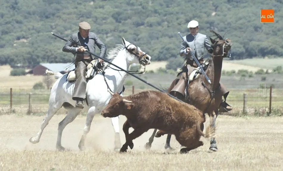 Darío Mesón y Juan Antonio de Andrea se coronan en Casasola campeones de Castilla y León  