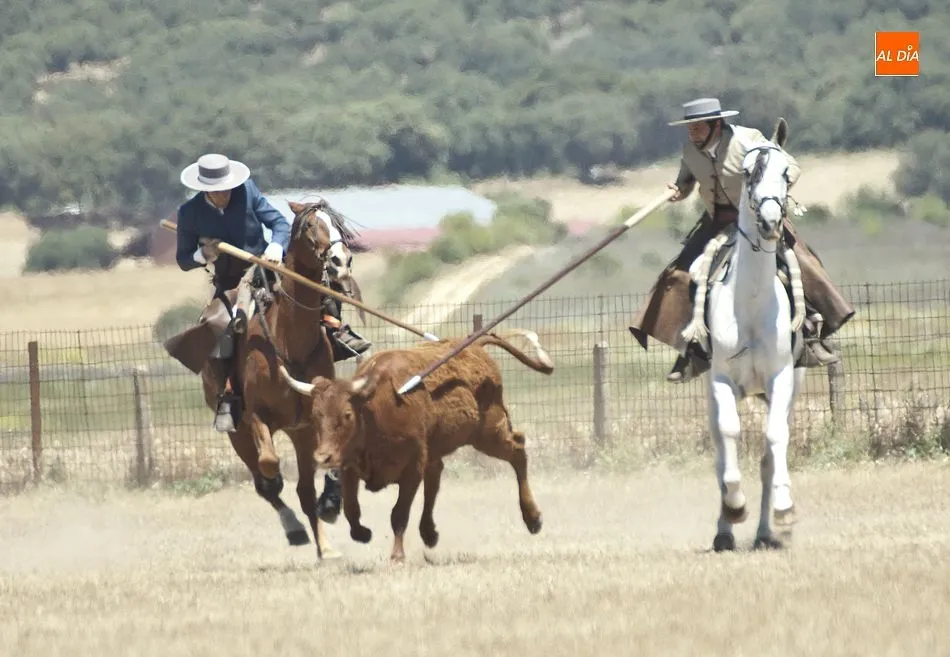 Foto 10 - Dar&iacute;o Mes&oacute;n y Juan Antonio de Andrea se coronan en Casasola campeones de Castilla y Le&oacute;n  