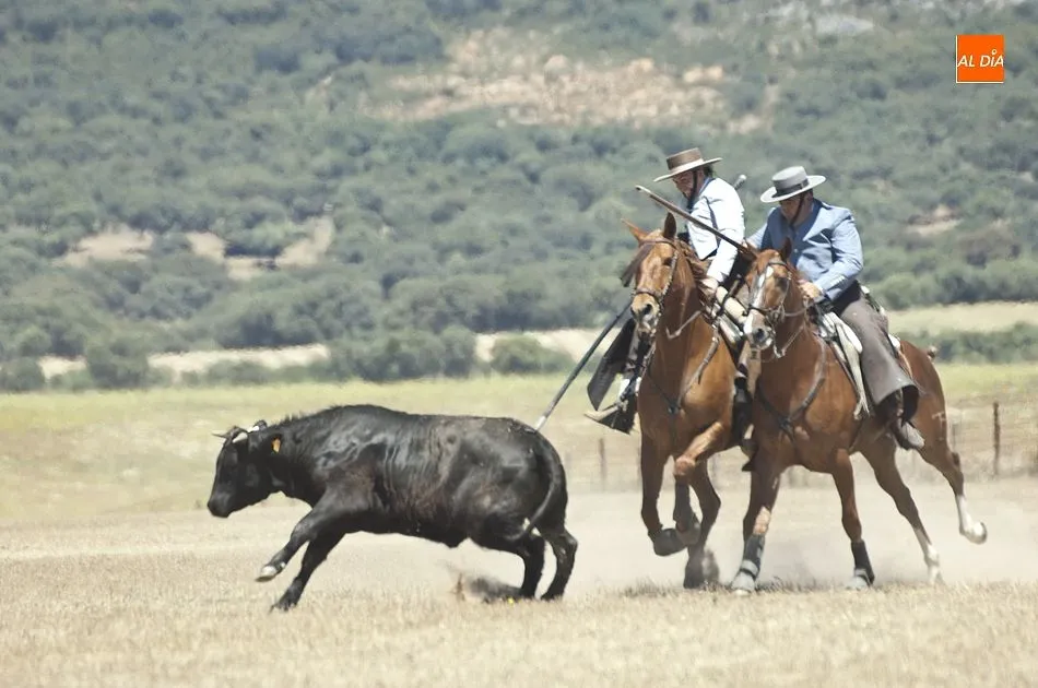 Foto 11 - Dar&iacute;o Mes&oacute;n y Juan Antonio de Andrea se coronan en Casasola campeones de Castilla y Le&oacute;n  