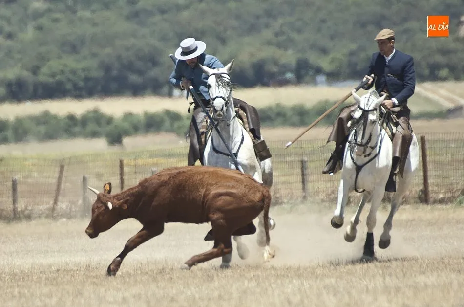 Foto 7 - Dar&iacute;o Mes&oacute;n y Juan Antonio de Andrea se coronan en Casasola campeones de Castilla y Le&oacute;n  