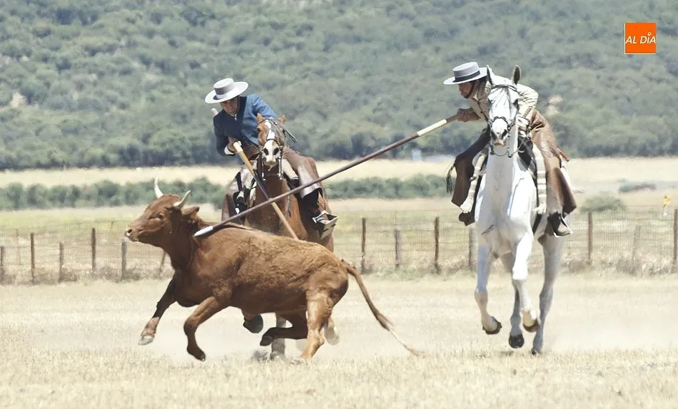 Foto 9 - Dar&iacute;o Mes&oacute;n y Juan Antonio de Andrea se coronan en Casasola campeones de Castilla y Le&oacute;n  