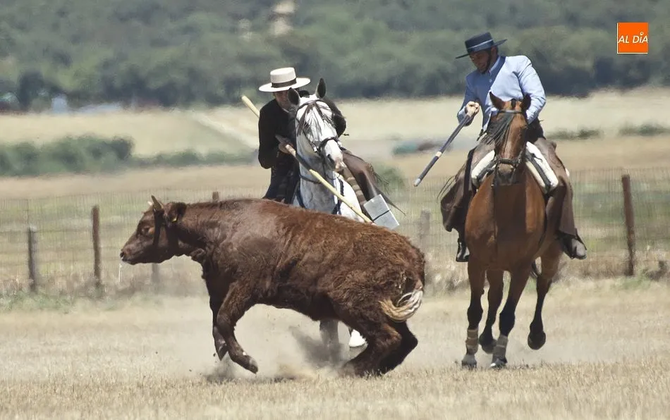 Foto 5 - Dar&iacute;o Mes&oacute;n y Juan Antonio de Andrea se coronan en Casasola campeones de Castilla y Le&oacute;n  