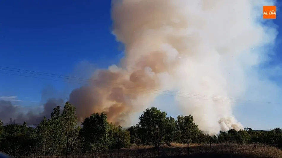 Foto 3 - Nuevo incendio en la ribera del Tormes junto a Cabrerizos