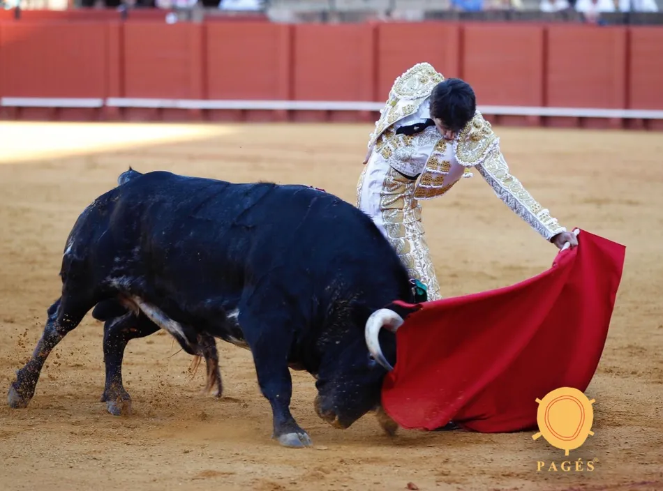 Foto 2 - Antonio Grande gusta en Sevilla y corta una oreja  