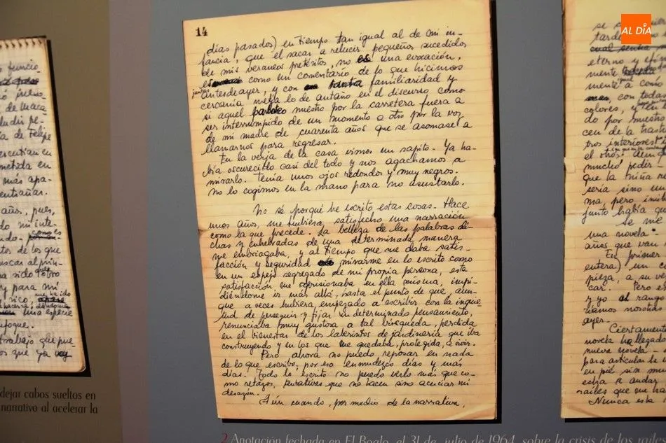 Foto 8 - Requiem por la memoria bienamada: Ana Mar&iacute;a Mart&iacute;n Gaite