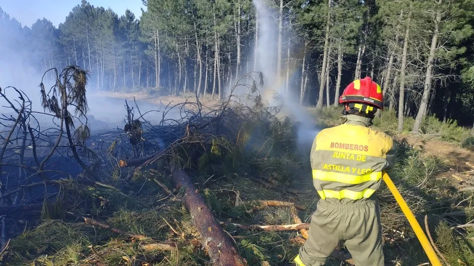 Foto 10 - Un incendio calcina media hect&aacute;rea de bosque en Linares de Riofr&iacute;o
