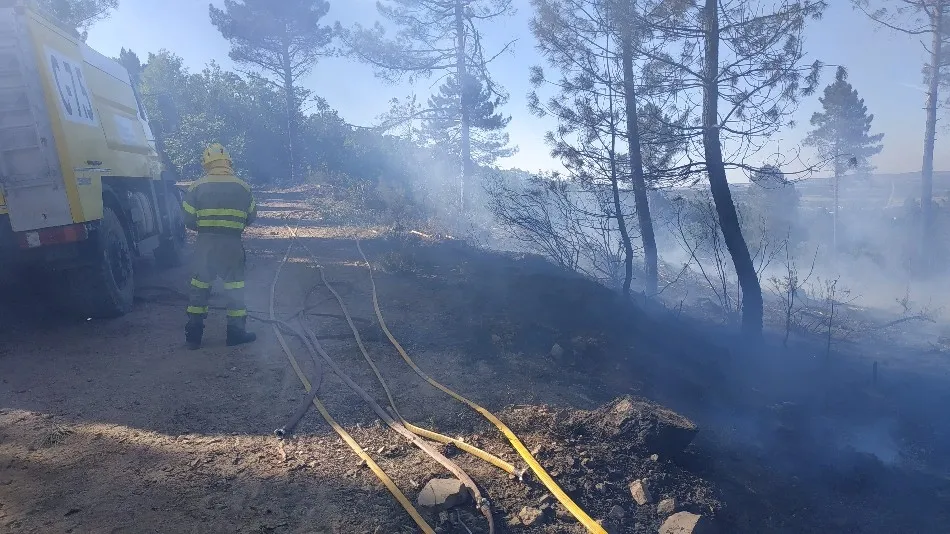 Foto 8 - Un incendio calcina media hect&aacute;rea de bosque en Linares de Riofr&iacute;o