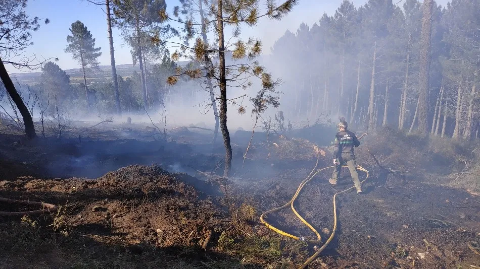 Foto 7 - Un incendio calcina media hect&aacute;rea de bosque en Linares de Riofr&iacute;o