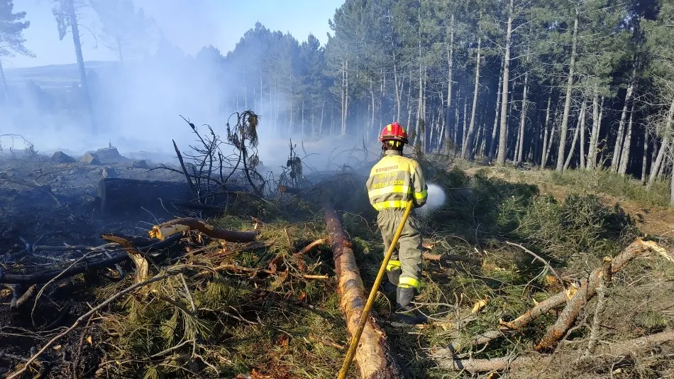 Foto 6 - Un incendio calcina media hect&aacute;rea de bosque en Linares de Riofr&iacute;o