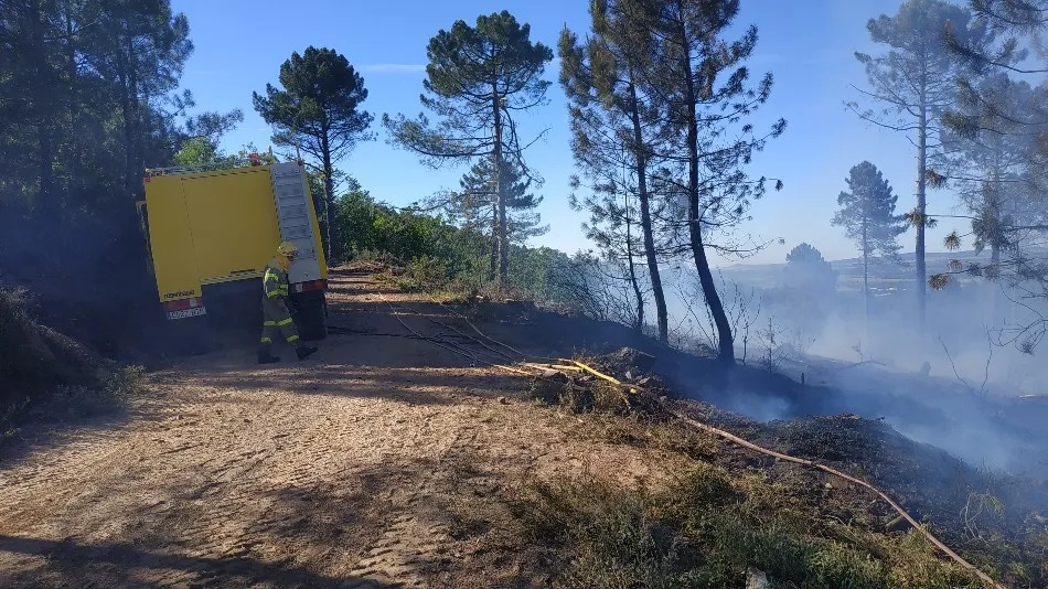 Foto 5 - Un incendio calcina media hect&aacute;rea de bosque en Linares de Riofr&iacute;o