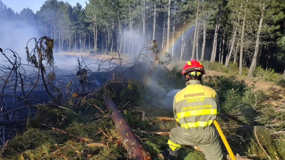 Foto 4 - Un incendio calcina media hect&aacute;rea de bosque en Linares de Riofr&iacute;o