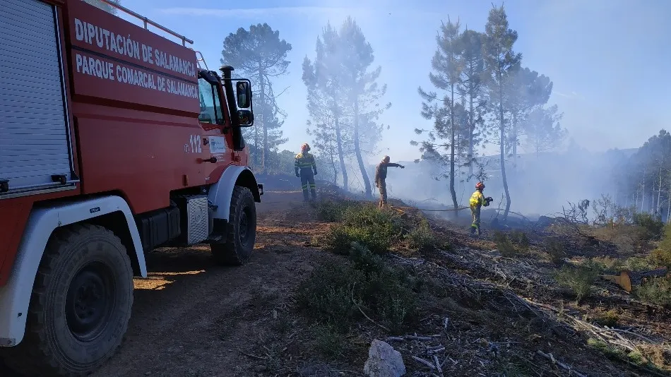Foto 3 - Un incendio calcina media hect&aacute;rea de bosque en Linares de Riofr&iacute;o