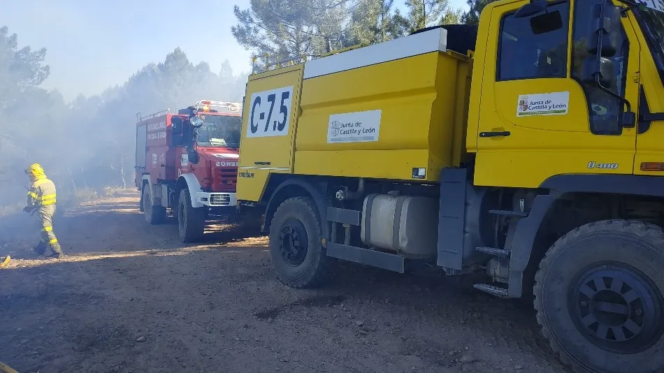 Foto 2 - Un incendio calcina media hect&aacute;rea de bosque en Linares de Riofr&iacute;o