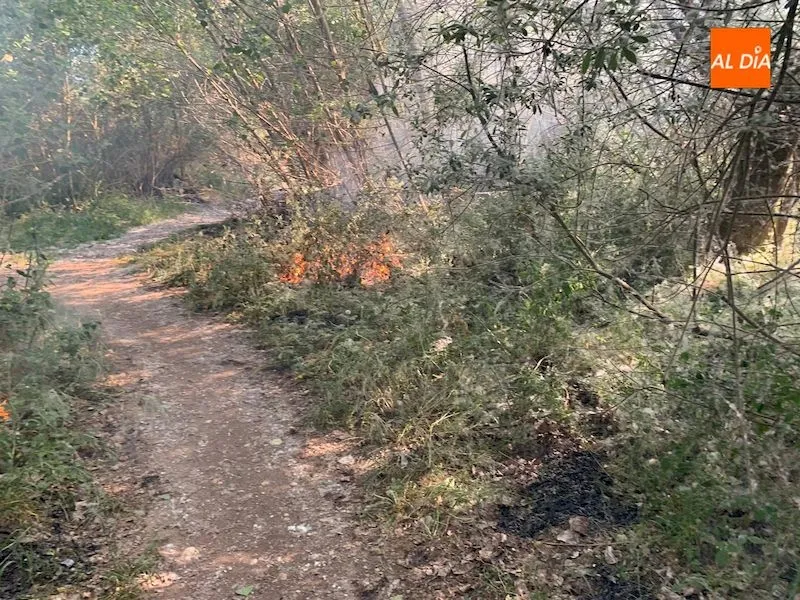 Foto 8 - Segundo incendio forestal en Alba de Tormes en apenas una semana