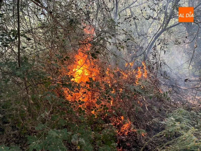 Foto 7 - Segundo incendio forestal en Alba de Tormes en apenas una semana