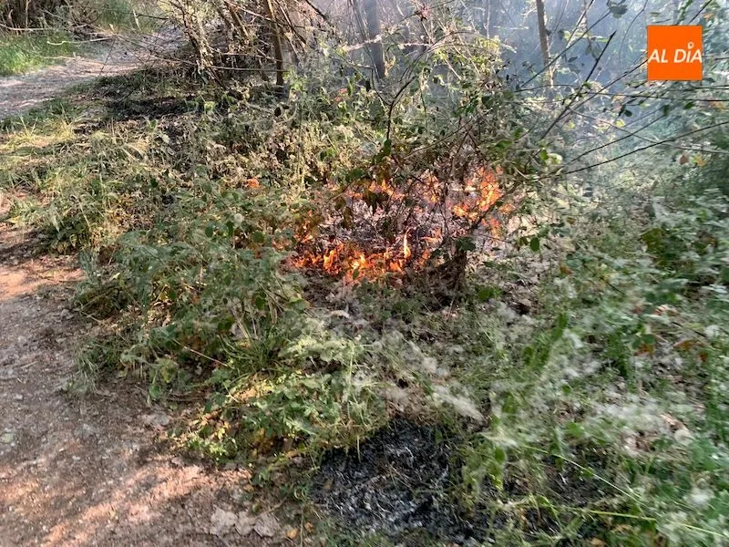 Foto 4 - Segundo incendio forestal en Alba de Tormes en apenas una semana