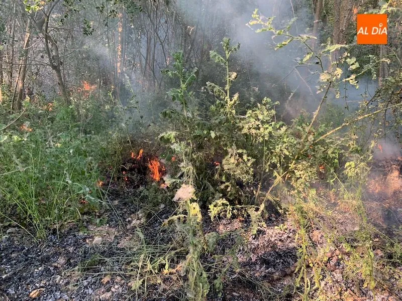 Foto 2 - Segundo incendio forestal en Alba de Tormes en apenas una semana