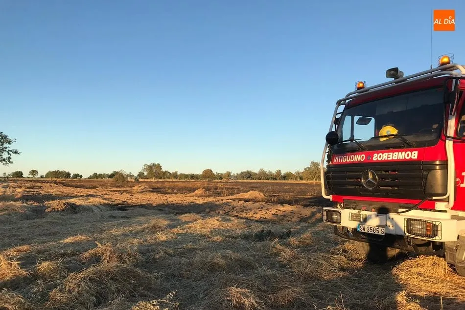 Foto 2 - Sofocado un incendio en Iruelos provocado por un peine mientras segaba  