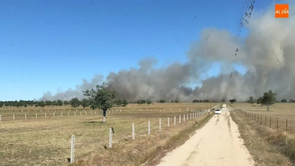 Ayer jueves se declaraba en Iruelos un fuego por la chispa de un peine mientras segaba forraje