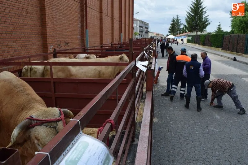 Programación Feria de San Antonio 2019